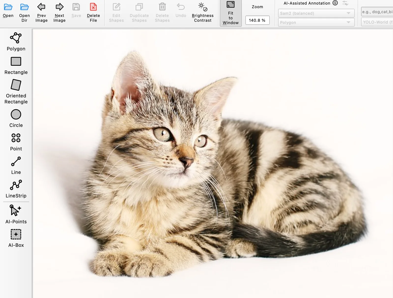 Offscreen Labelme v7.4.1 render after returning to the same cat image, with Fit to Window active and the complete cat visible at 140.8%.