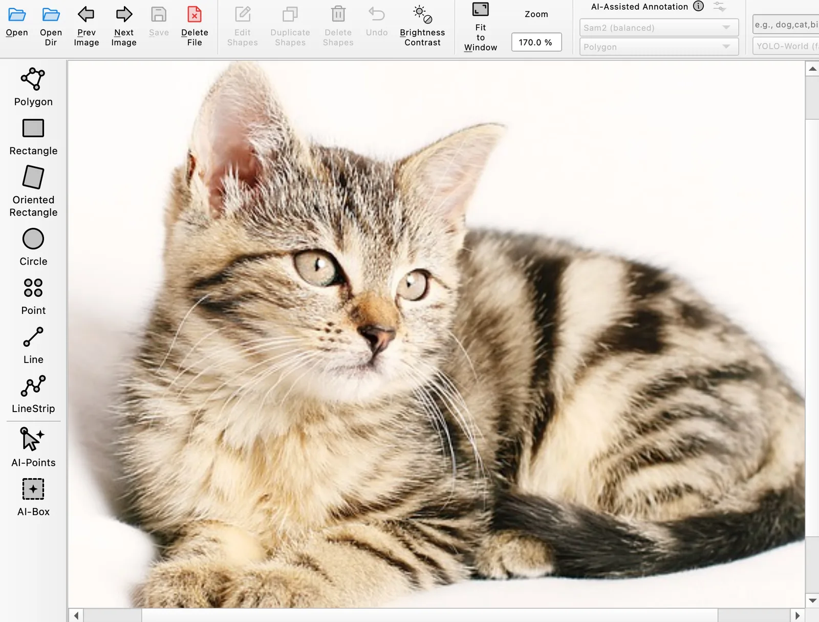 Offscreen Labelme v7.3.0 render after returning to a cat image, with the zoom control at 170% and the cat extending beyond the canvas.