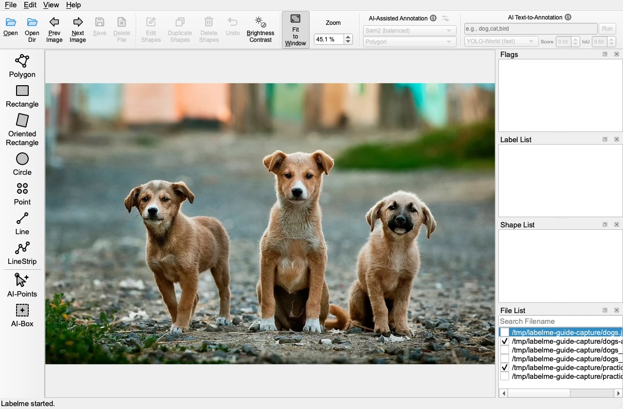 Labelme with dogs.jpg open and no annotations in the Shape List.
