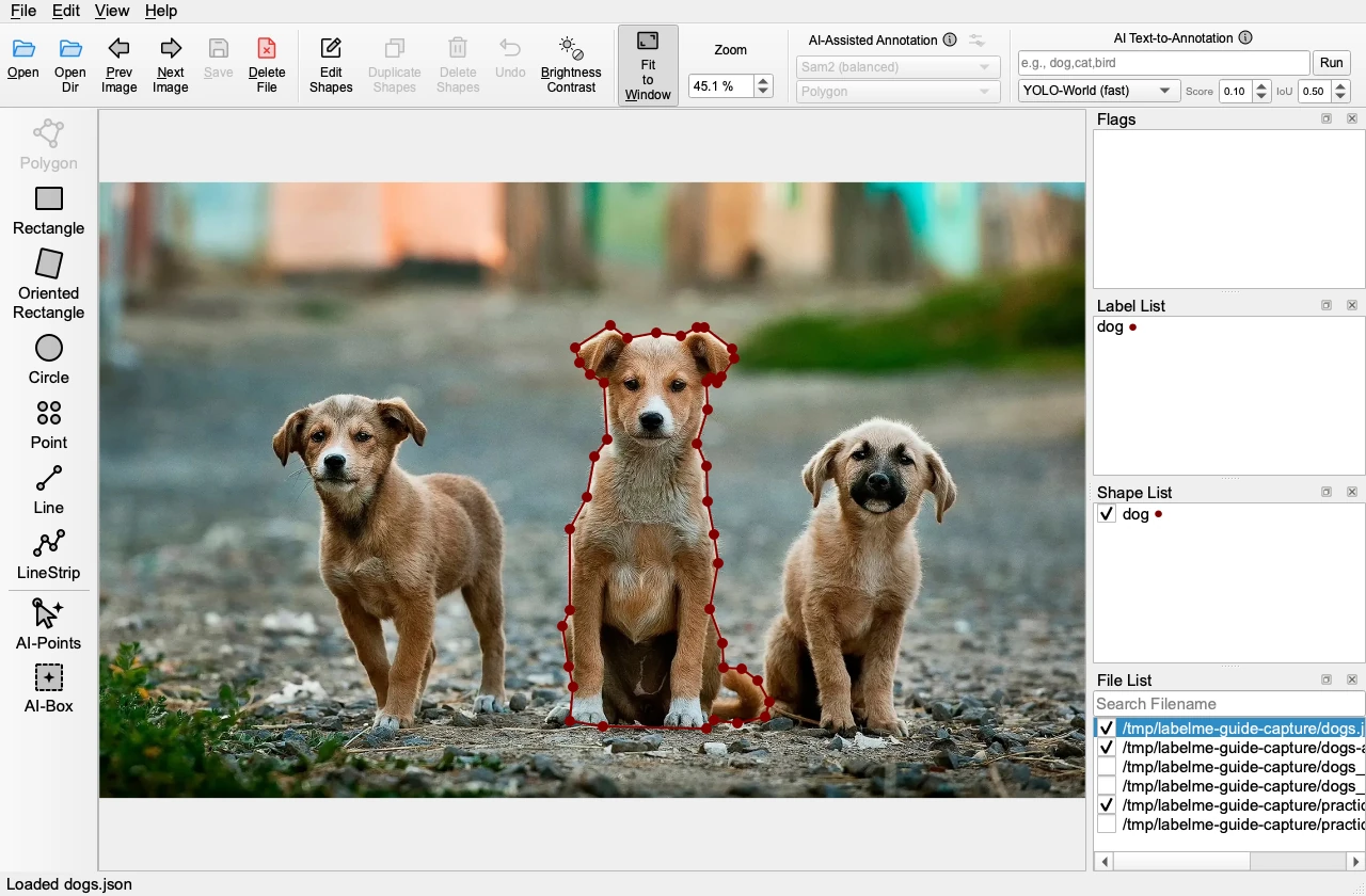 The saved dogs.json reopened with one polygon around the middle dog and dog in the Shape List.